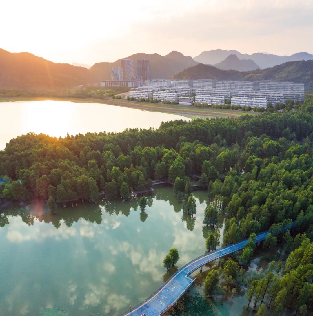 1647177670185200szGC.jpg 6.jpg